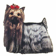 Autocollant Yorkshire