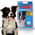 pvi-halti-headcollar-0111.jpg