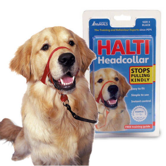 1-HALTI-Headcollar-Large4.jpg