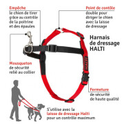 Harnais de dressage Halti Medium