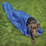 Tunnel agility Garden