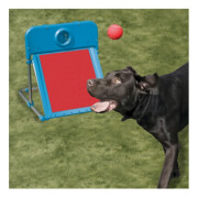 Flyball Garden