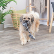 Corde avec balle Denta Fun 30 cm