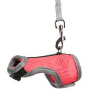 Harnais rat Soft rose avec laisse 