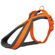 Harnais Premium orange