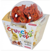 Friandises rongeur Crunchy Pop Carottes