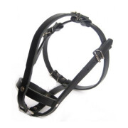 Muselière bouledogue français femelle