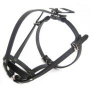 Muselière bouledogue français