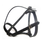 Muselière bouledogue français