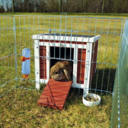 Cabane lapin et cochon d'Inde bicolore Natura