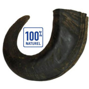 Corne de Buffle gros chien