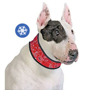 Collier rafraîchissant rouge