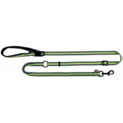 Laisse jogging Dog Activity