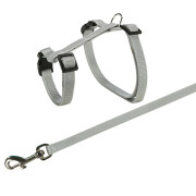 Harnais lapin avec laisse