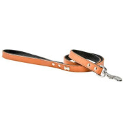 Laisse Extra Souple camel