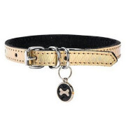 Collier pour petit chien : Chihuahua Power doré