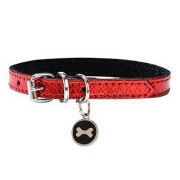 Collier pour chihuahua, petit chien Power rouge