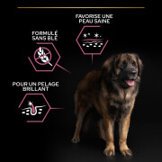 Purina Proplan Large Robust Adult OptiDerma