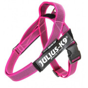 Harnais Julius IDC Belt Color Gray rose