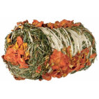 Friandise et complément