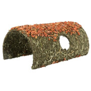 Tunnel lapin Grotte céréales et carotte