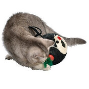 Griffoir chat balle ours noir