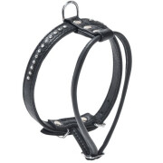 Harnais petit chien Eclat noir