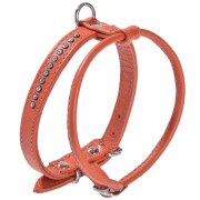 Harnais petit chien Eclat orange