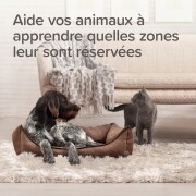 Répulsif intérieur chat chien marquage urinaire