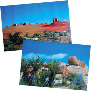 Décor de fond terrarium désert