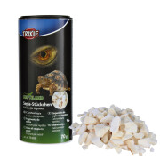 Fragments d'os de seiche