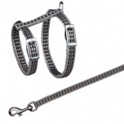 Harnais laisse chat Réfléchissant