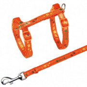Harnais laisse motif arête orange