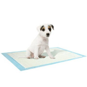 Alèse pour chien, Tapis Education chiot Zolux