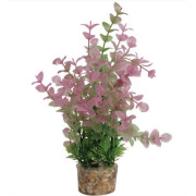 Décor plante aquarium plastique