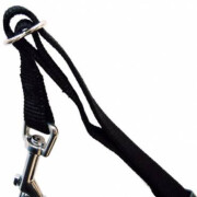 Harnais chien voiture Friends