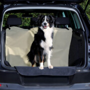 Protection coffre de voiture beige