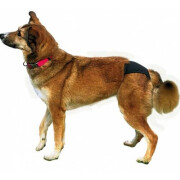 Couche chien femelle noire Trixie