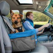 Siège de voiture Booster Heather bleu