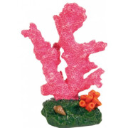 Plante aquarium petit corail coloré 7cm