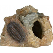Décor aquarium petit fossile 8cm