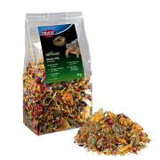 Mélange de fleurs pour reptile