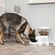 Distributeur automatique croquettes TX7