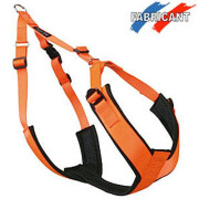 Harnais Canicross Fluo orange