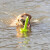 Jouet d'eau Dog activity Mot aqua