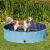 Piscine pour chien