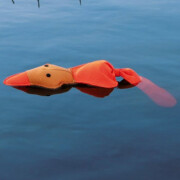 Jouet d'eau Canard orange
