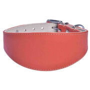 Collier Lévrier Nicky corail 