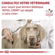 ROYAL CANIN Veterinary Diet Hypoallergenic small dog