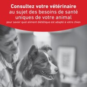 ROYAL CANIN Veterinary Diet Diabetic DS37